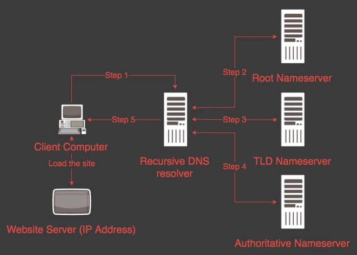 DNS Lookup