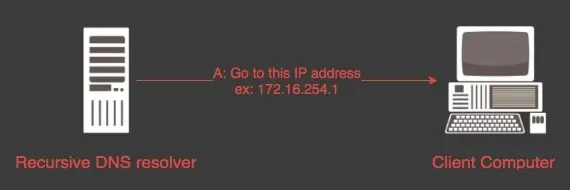 DNS resolver forwards the IP