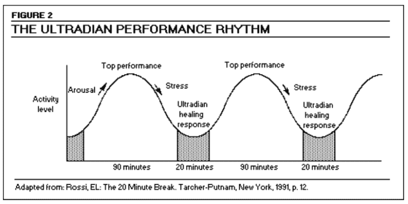 Our energy levels function according to “ultradian rhythms” with high-energy and low-energy cycles that alternate during the day.  