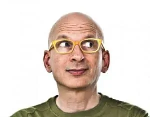 Seth Godin 