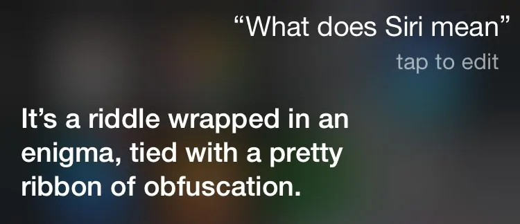 what-does-siri-mean