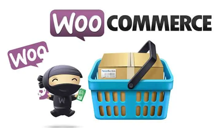 woocommerce-plugin-development