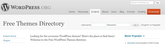 wordpress